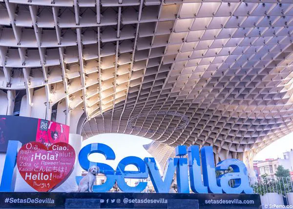 ¿Quieres que los perros puedan viajar en el metro de Sevilla? ¡Firma la petición!