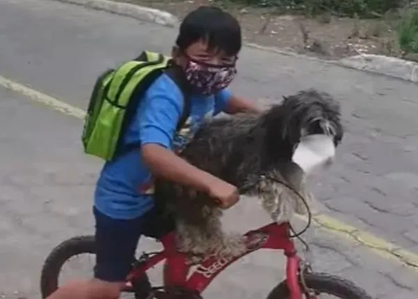 La simpática escena del niño que le coloca una mascarilla a su perro para ir ambos protegidos ante la COVID