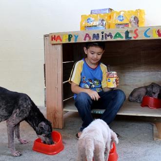 Un niño de 9 años logra crear una pequeña protectora …