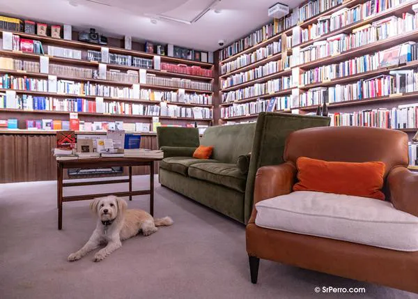 “Librerías apoyan a Librerías de Valencia”: más de 150 librerías en toda España se unen a la campaña solidaria