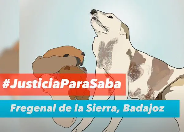 Casi 40.000 personas piden que se investigue la muerte a palos de una mastina y sus cachorros #JusticiaparaSaba