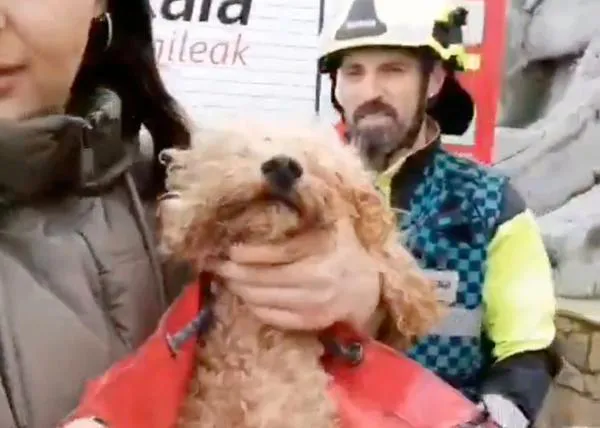 Los bomberos rescatan a un pequeño perrete que había caído por un acantilado en Muskiz, Bizkaia