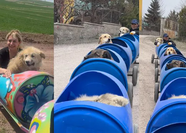 El trenecito de los perros con discapacidad: la responsable de un santuario de perros en Turquía crea un pequeño tren para ellos
