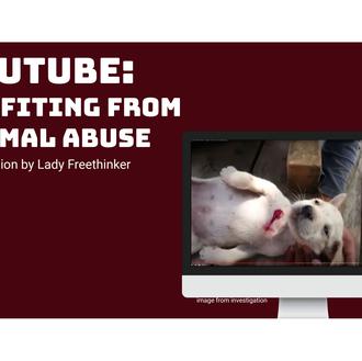 Advierten sobre la peligrosa tendencia de vídeos de rescate animal …