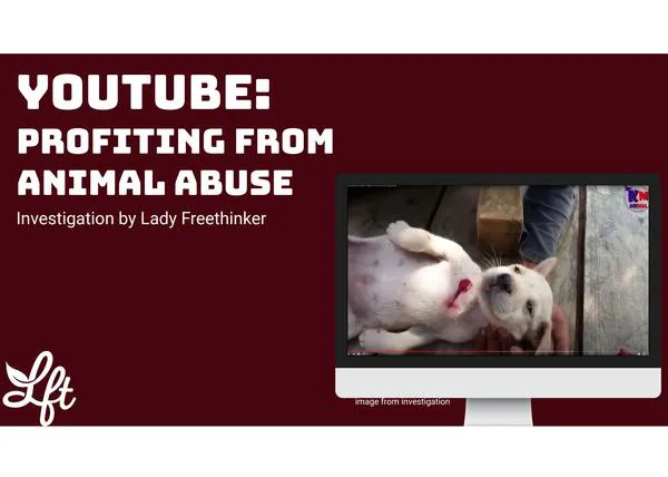 Advierten sobre la peligrosa tendencia de vídeos de rescate animal falsos en YouTube, Tiktok o Facebook