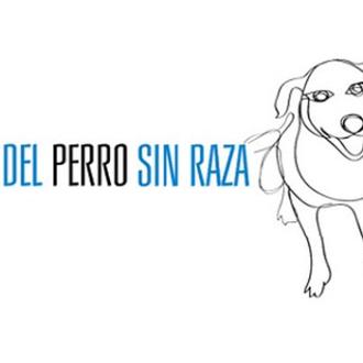 Los perros sin raza vuelven a celebrar su día el …