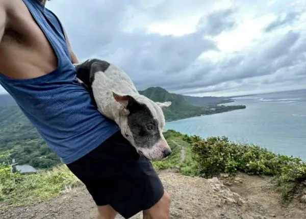 Un corredor de maratones rescata en brazos a una perra perdida en medio de una escarpada montaña