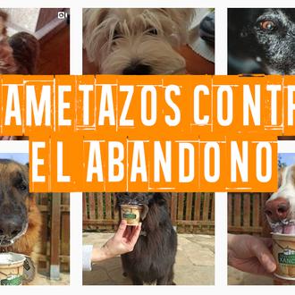 Lametazos contra el abandono: una simpática campaña solidaria para ayudar …