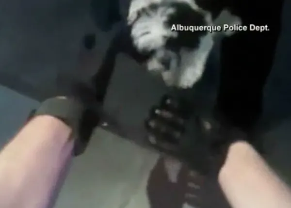 La cámara de un policía capta cómo salvan a un perro que se había atragantado y no podía respirar