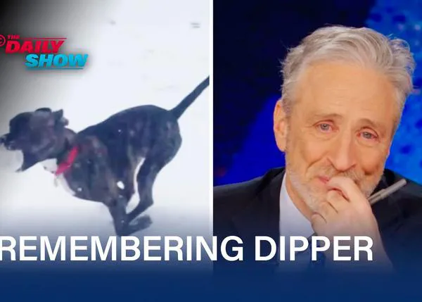El emotivo homenaje de Jon Stewart a su perro del alma, emocionado hasta las lágrimas al despedirse de Dipper