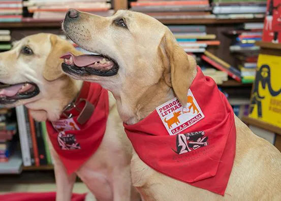 La lectura educativa con perros, 20 aniversario de un programa con múltiples beneficios