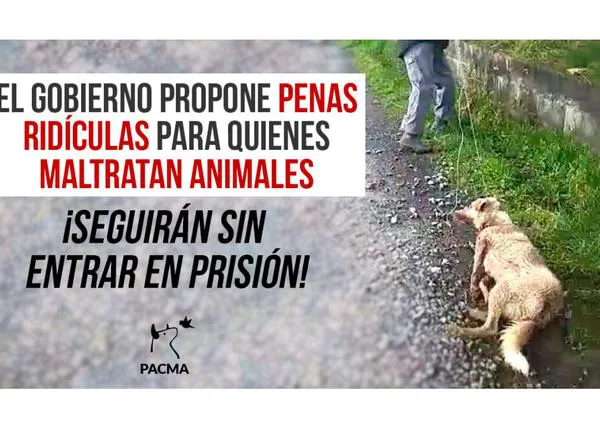 Con el nuevo Código Penal los maltratadores de animales seguirán sin pisar la cárcel, denuncia PACMA