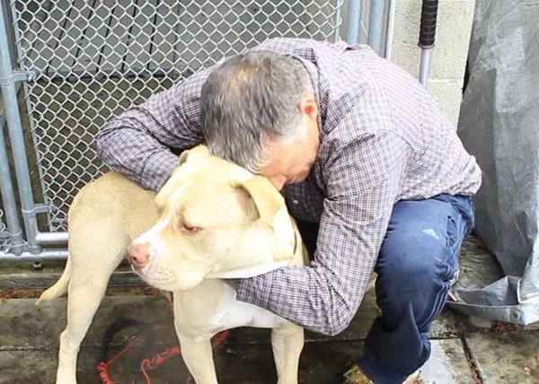 Un hombre lo pierde todo y se queda en la calle: gracias a la bondad de muchos extraños ha recuperado a su perro