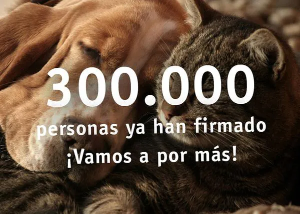 Más de 300.000 personas piden un cambio en el Código Civil: #AnimalesNoSonCosas