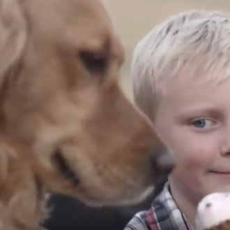 Un niño y su perro: anuncios que deberían ser historias …