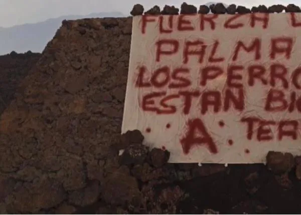 Ni rastro de los podencos de La Palma: un extraño grupo llamado 