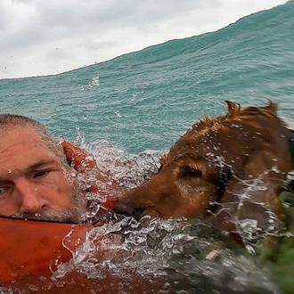 El impresionante rescate de un hombre y su perro en …