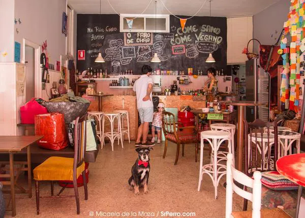¿Se puede entrar en un bar con perro en Santiago de Compostela, Vigo, Coruña...? Sí