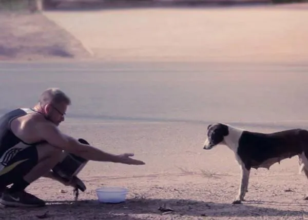 80 canes callejeros dependen de la bondad de una persona: El hombre que rescata perros