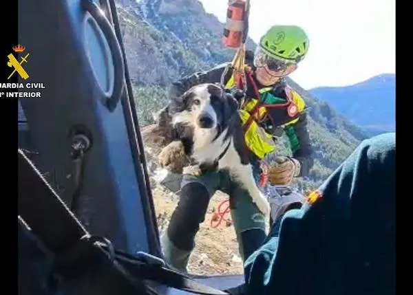 La Unidad Aérea de la Guardia Civil rescata a un perro enriscado en el Pirineo Aragonés