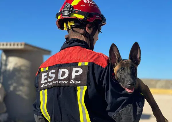 Ladridos que salvan vidas: el (gran) trabajo de la Escuela Española de Salvamento y Detección con Perros