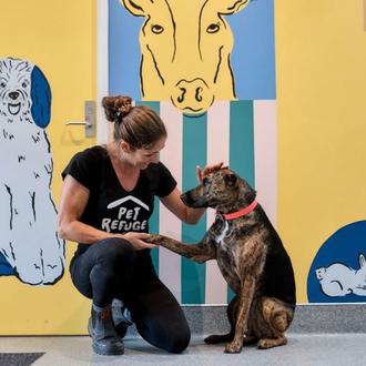 Así es el primer refugio para animales de mujeres víctimas …