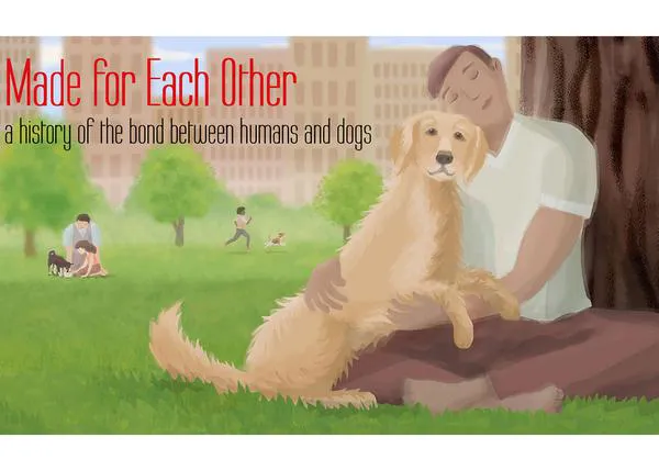 La apasionante historia de cómo perros y personas se convirtieron en aliados y compañeros de vida
