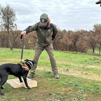 Dos perros especializados ayudan a los Agentes Forestales en Madrid …