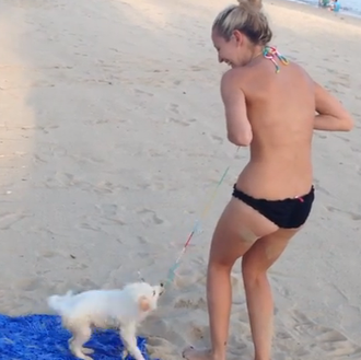 Aventuras en la playa... un cachorro obsesionado por el bikini …