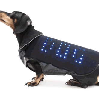 Disco Dog, un crowdfunding perruno con tela de gracia... y …