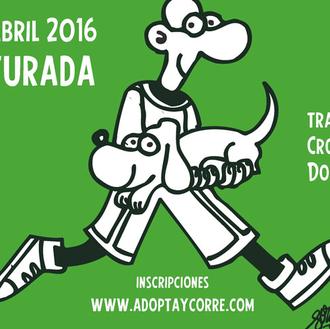 Planazo solidario en abril: Adopta y corre, contra el maltrato …