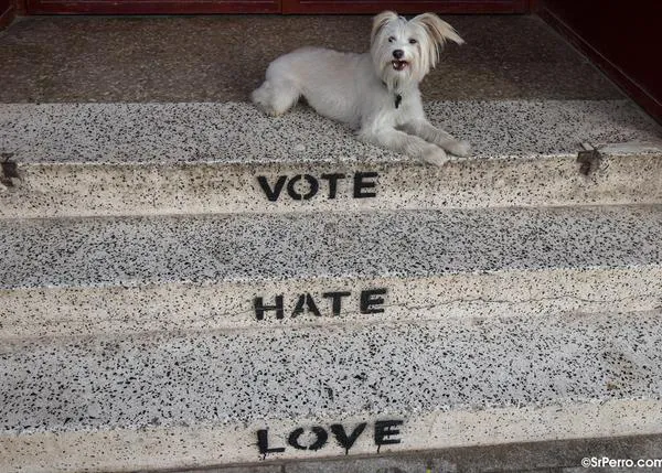 En las elecciones europeas de 2024, ¡PROHIBIDO ir a votar con perro en TODOS los colegios electorales en España!