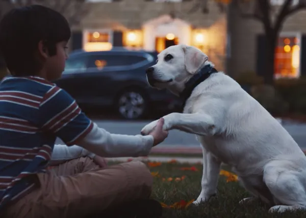 Un niño y un perro demuestran cómo hacer realidad los sueños de otros