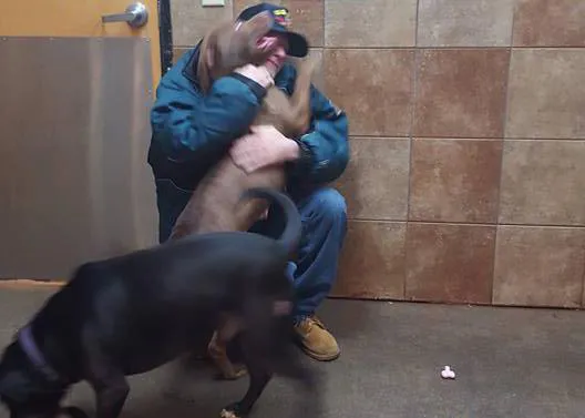 La emocionante felicidad de un hombre al reunirse con sus canes tras meses hospitalizado