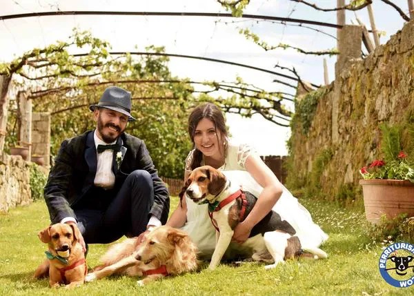 Una boda extra perruna: el romance de Jessi y Rinchos gracias a sus canes (y un poquito a Perriturismo & SrPerro)