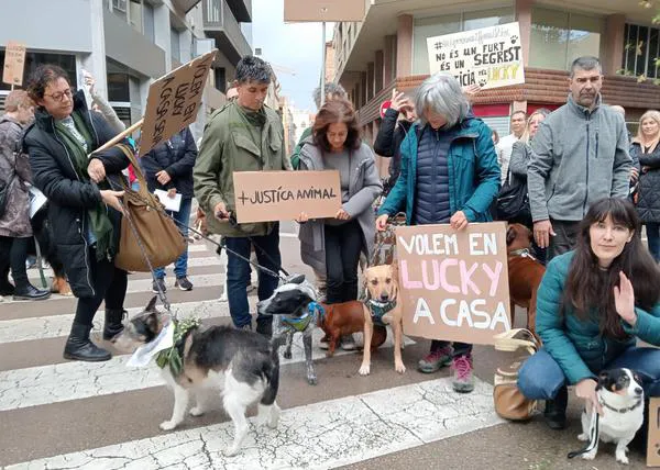 Sin noticias de Lucky, el perro robado en Girona, pese a que su robo fue grabado por una cámara de seguridad