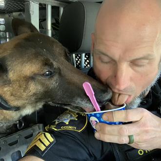 El perro policía que triunfa en redes por ¡catar snacks …