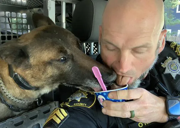 El perro policía que triunfa en redes por ¡catar snacks y comidas junto a su compañero humano!
