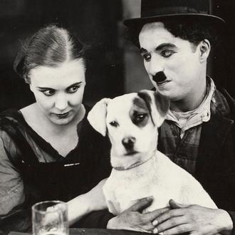 Perros en el cine a comienzos del Siglo XX: de …