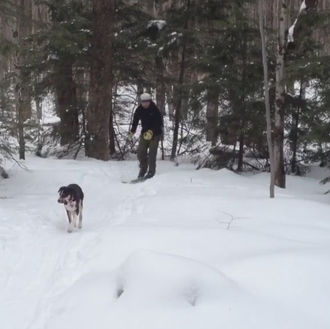 Perros felices en la nieve: o cómo disfrutar el doble …