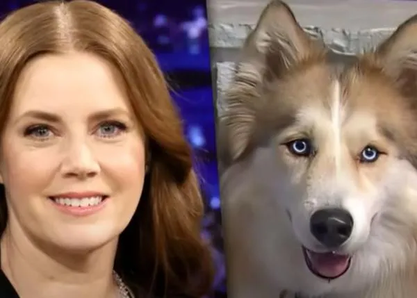 Una perra abandonada llamada Amy se convierte en la versión canina de Amy Adams en Nightbitch (y es adoptada)