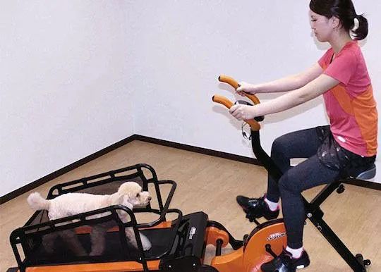 Inventos rarunos pero reales: la bicicleta estática con cinta para correr para perros