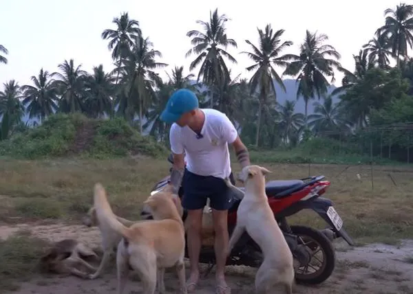 Un hombre, una moto y muchas ganas de echar una pata: así alimentan cada día a cientos de perros de la calle en Tailandia