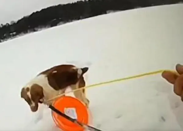 El emocionante rescate, gracias a la ayuda de su perra, de un hombre que se hundió en un lago helado