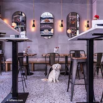 ¿De vinos y tapas con tu perro en Madrid? Yes …