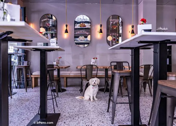 ¿De vinos y tapas con tu perro en Madrid? Yes we CAN: selección de locales con mucho encanto