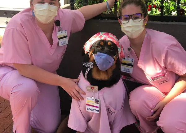 Una perra entrega más de 1400 kits especiales para los sanitarios que luchan contra el COVID-19