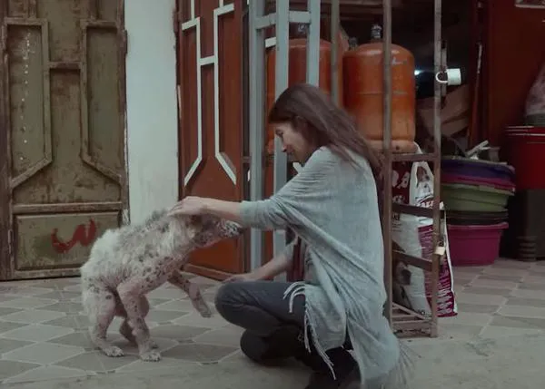 La mujer que se deja la piel para salvar a los perros de la calle en Tánger: la impresionante labor de Salima Kadaoui