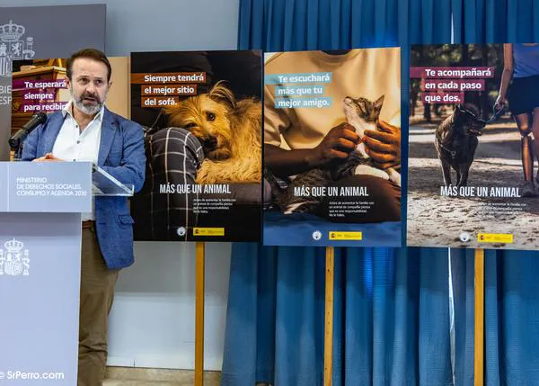 Mensajes positivos para recalcar que perros y gatos son parte de la familia, la nueva campaña de la DG Derechos de los Animales