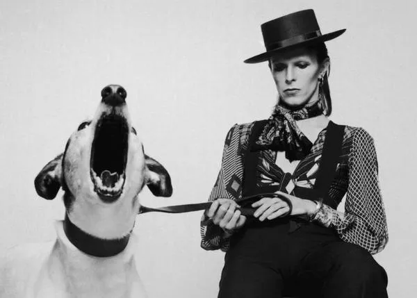 David Bowie en Madrid: él lo tenía claro, si no dejan entrar perros, ¡mejor no entrar!